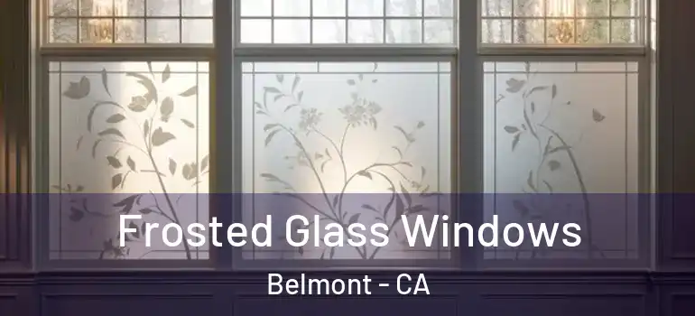  Frosted Glass Windows Belmont - CA