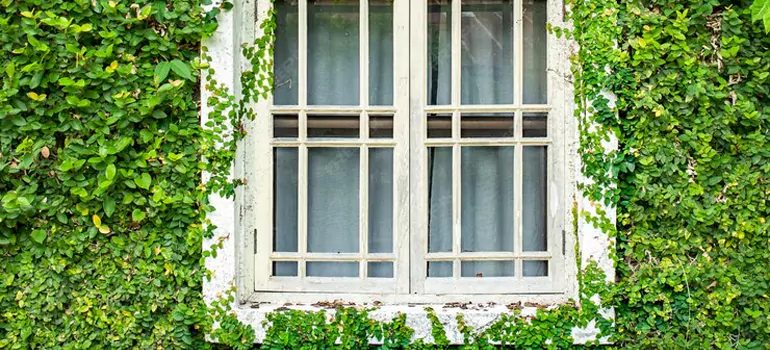Garden Window Repair Near Me in Belmont, CA