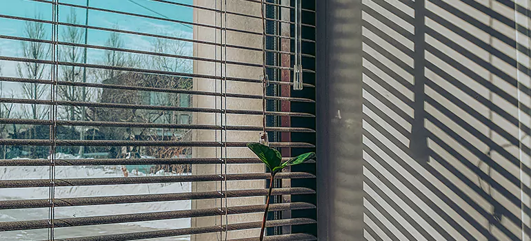 Commercial Window Blinds in Belmont, CA